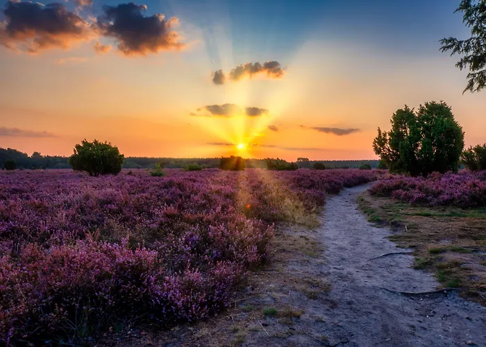 Flair Rieckmann ビスピンゲン